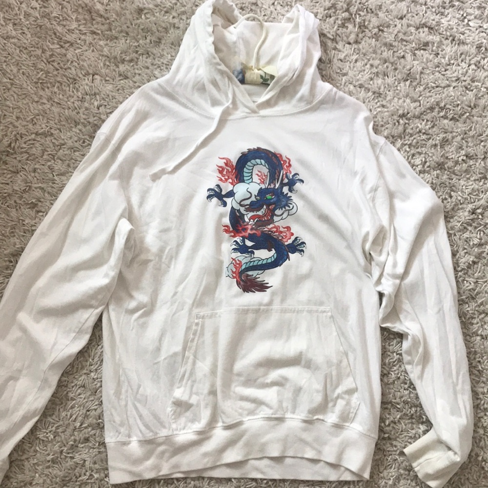 Rare Brandy Melville dragon hoodie